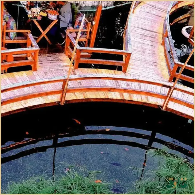 کافه رستوران قو سفید