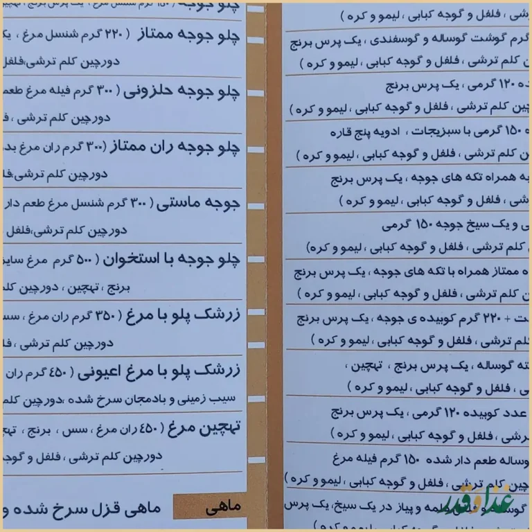 ردکا رستوران دکتر کباب آریا