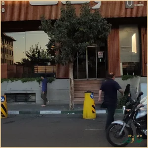 رستوران ویانا