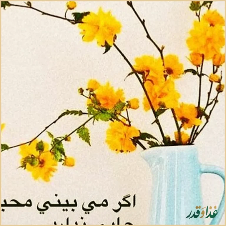 رستوران دیزی بهار