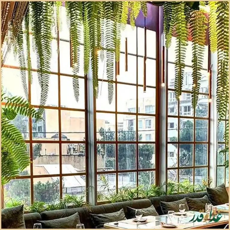 کافه رستوران فرنگی دوبرا