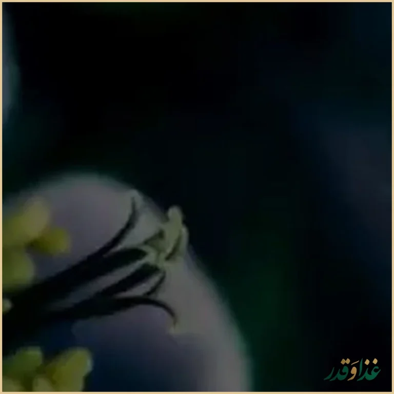 رستوران ماه و مهر