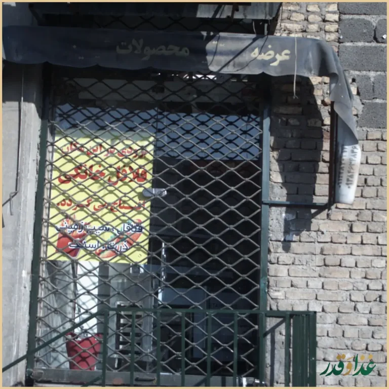 فست فود فلافل خانگی گلها