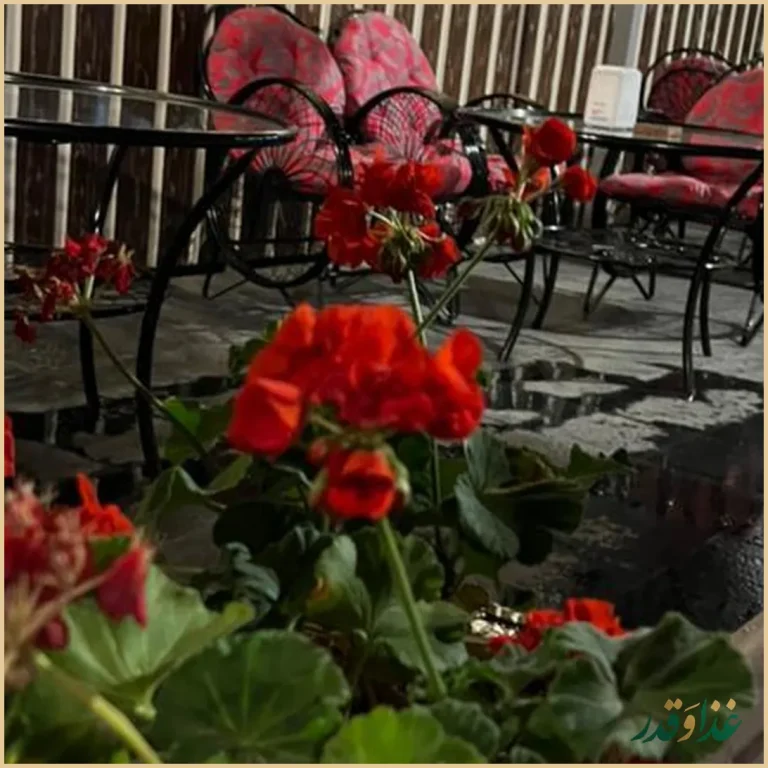 کافه رستوران کندو