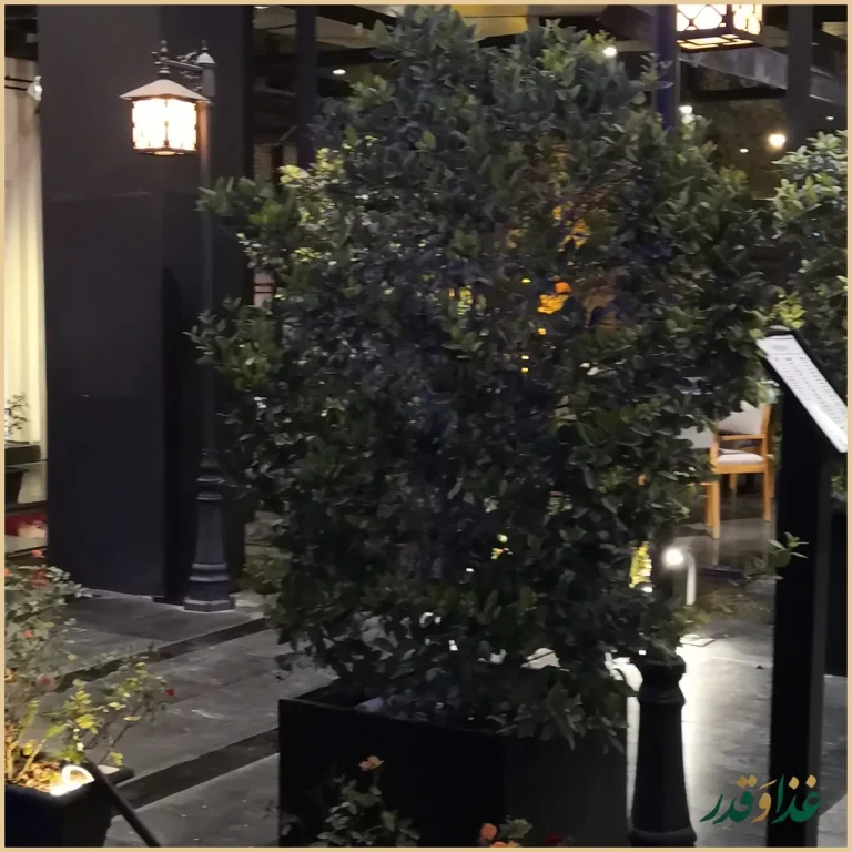 رستوران چراغان