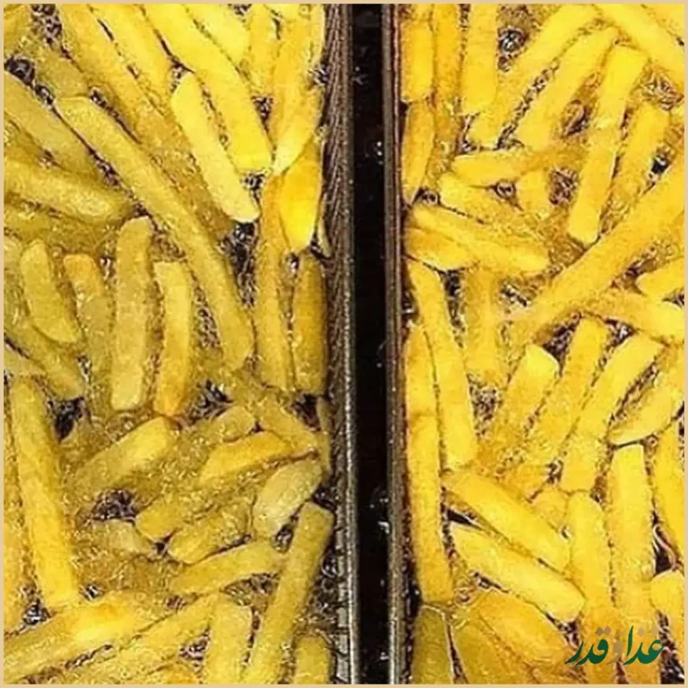 فست فود هایدا