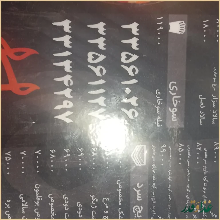 فست فود هایدا