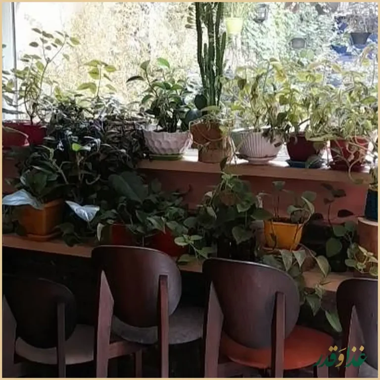 کافی شاپ آرامش