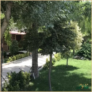 باغ رستوران شب نشین