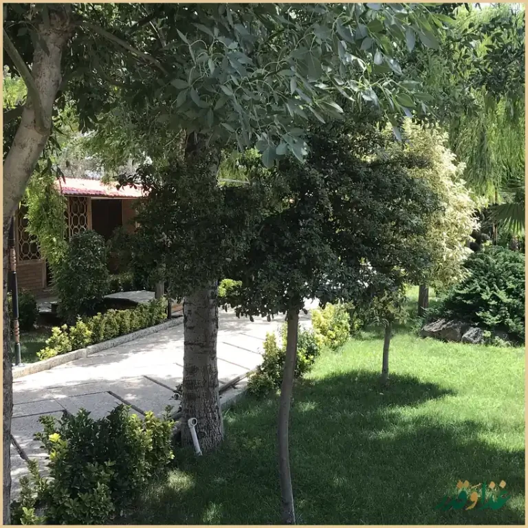 باغ رستوران شب نشین