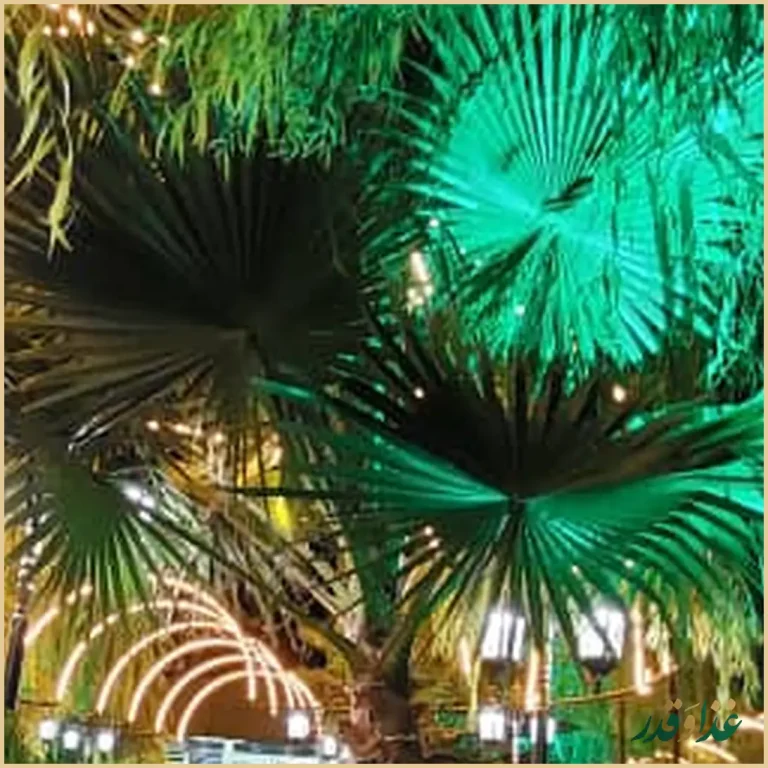 باغ رستوران شب نشین