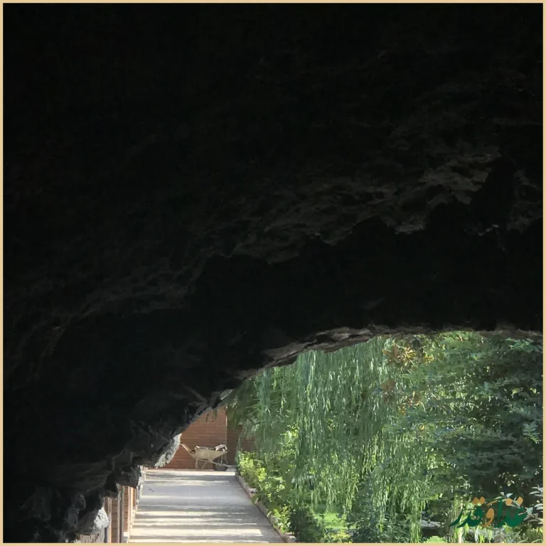 باغ رستوران شب نشین