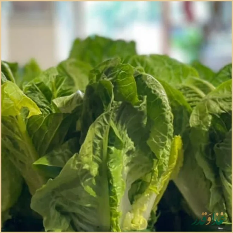 دیزی سرا آذری