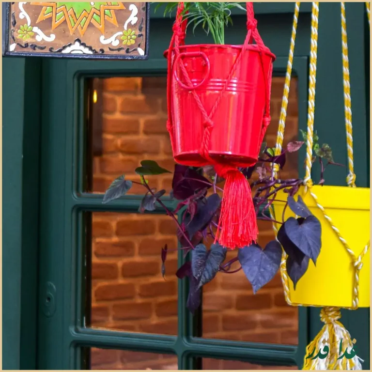 رستوران هوربانو