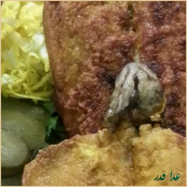 سفره خانه سنتی قصر سلیمان