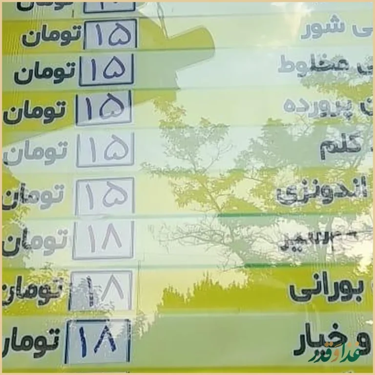 رستوران مرغ بریان پاچینی