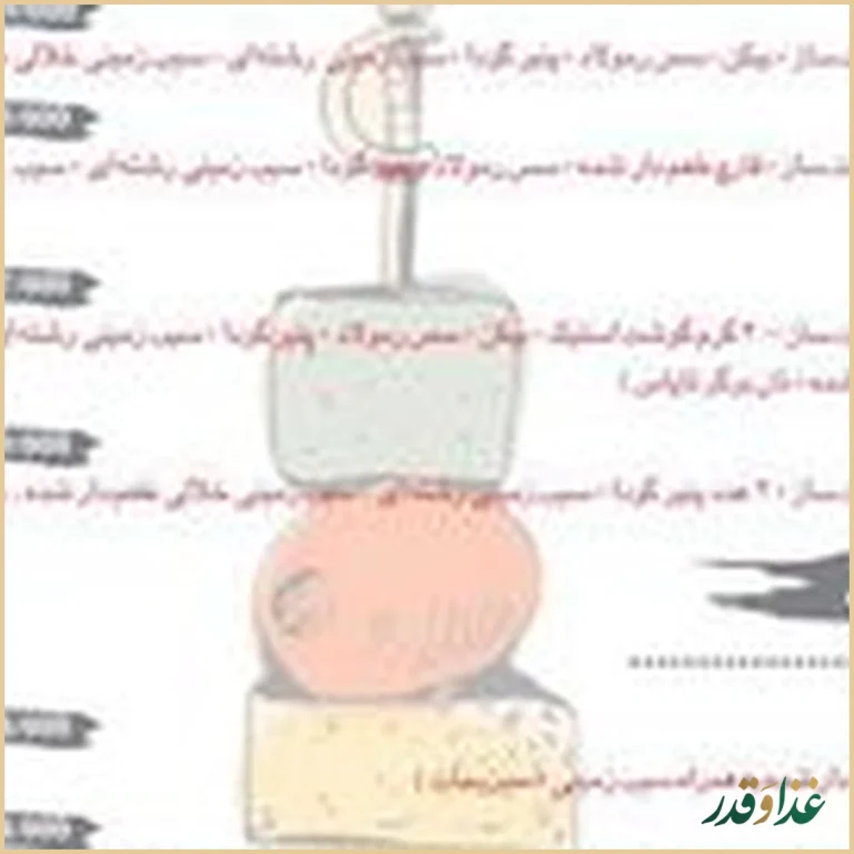 فست فود گریل چیز(Grill Cheeez)