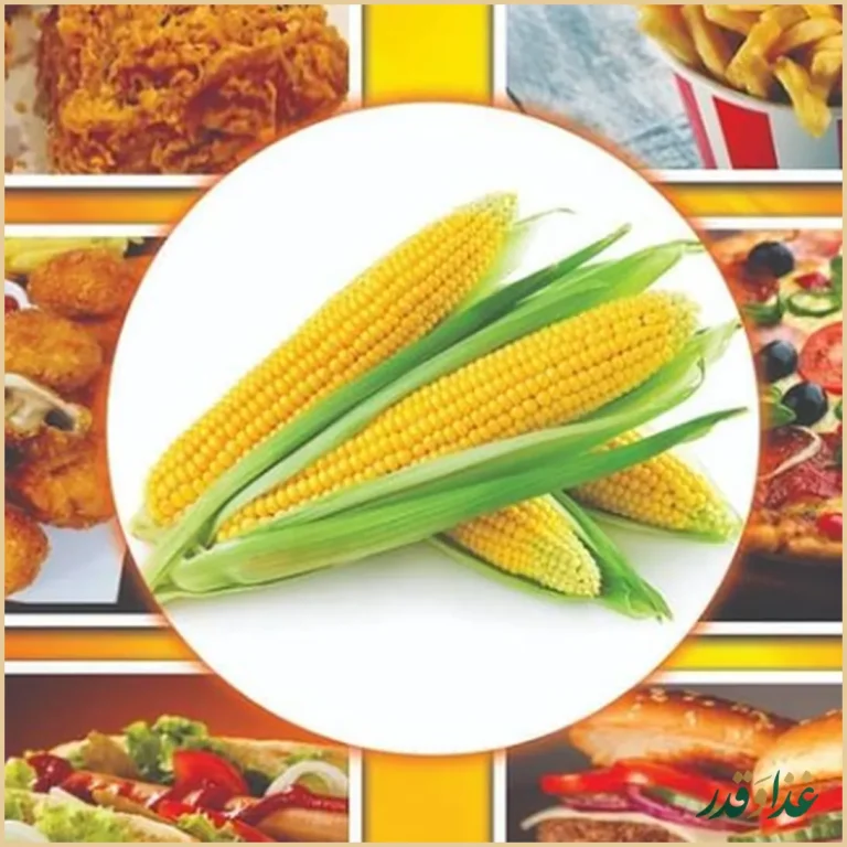 فست فود شاوور