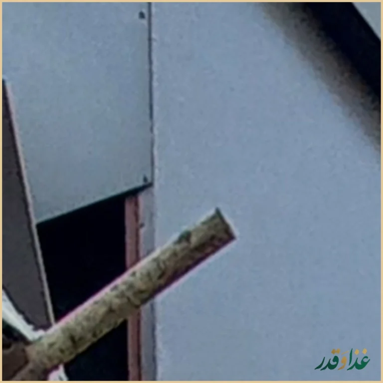 رستوران گاردینو