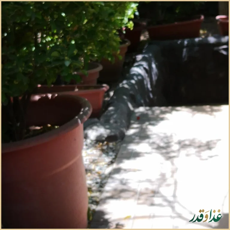 رستوران بام شهران