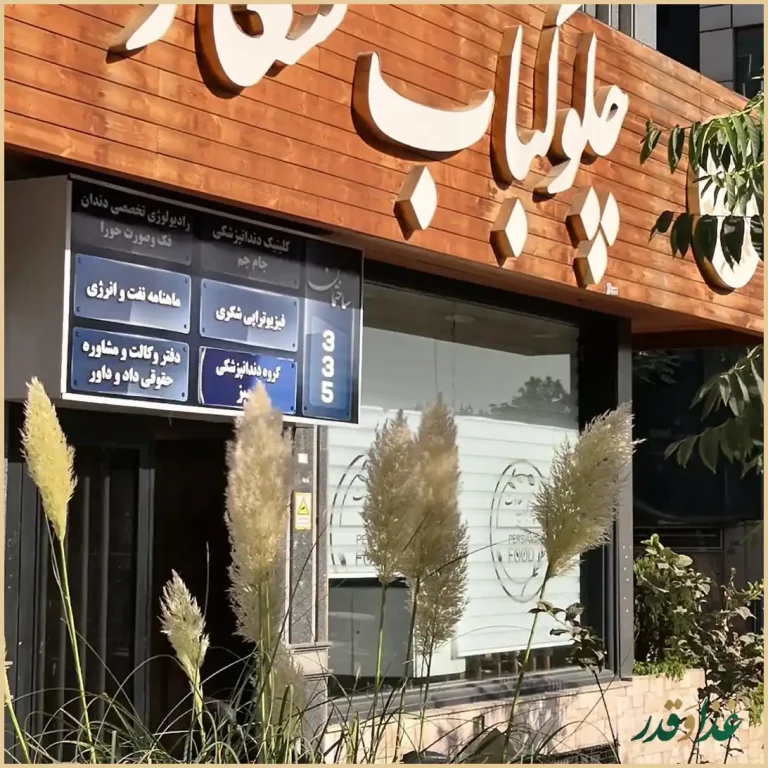 چلوکباب سعادت