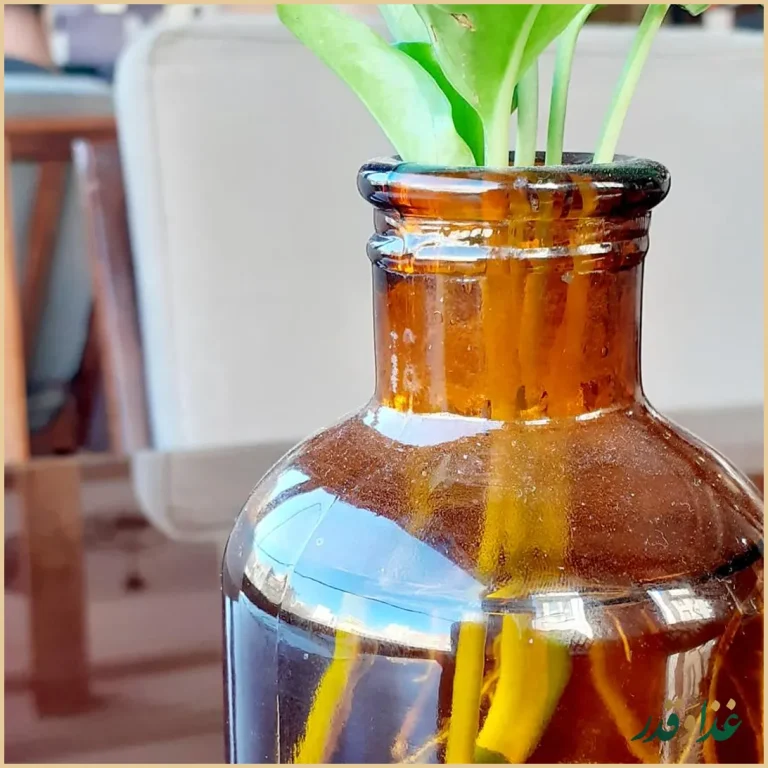 کافه کولاچینو