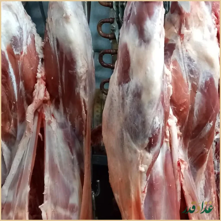 کبابی محسن گلپایگانی