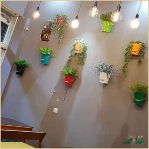 فست فود شنه