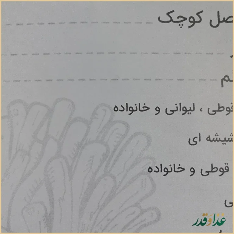 فست فود ریحان