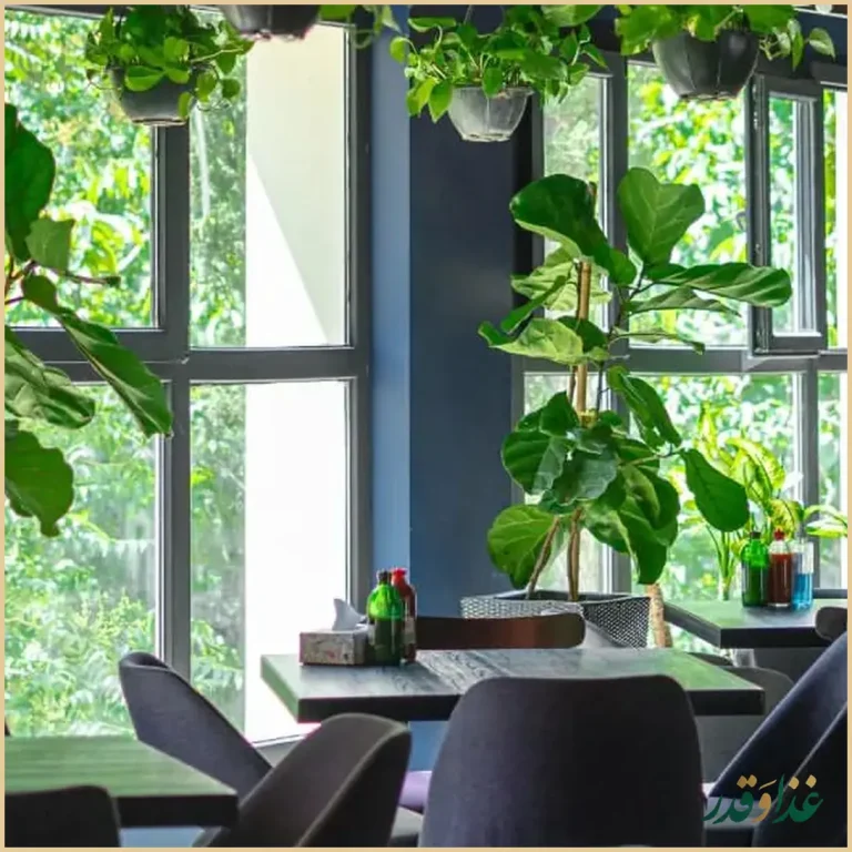 فست فود جیلیز ویلیز