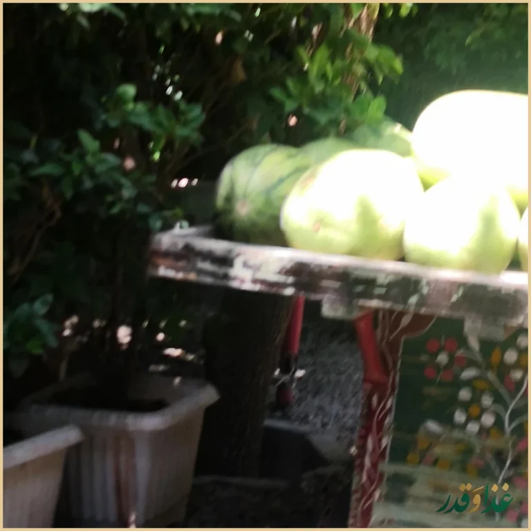 رستوران باغ فدک