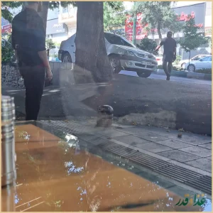 رستوران ساطور