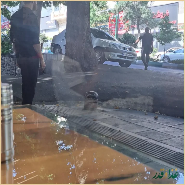 رستوران ساطور