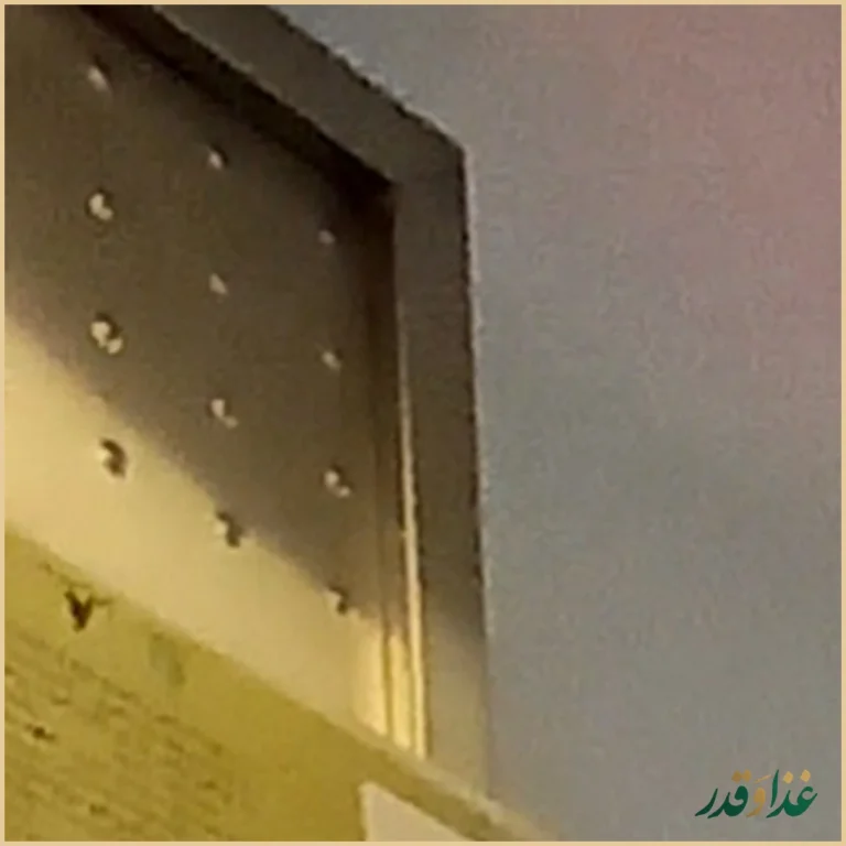 فست‌ فود ترنج