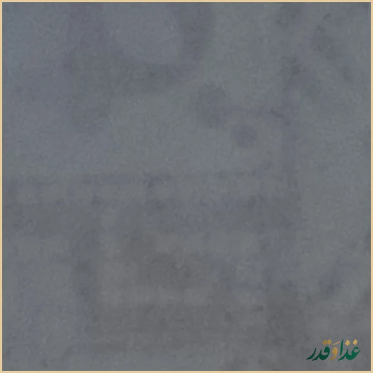 فست‌ فود ترنج