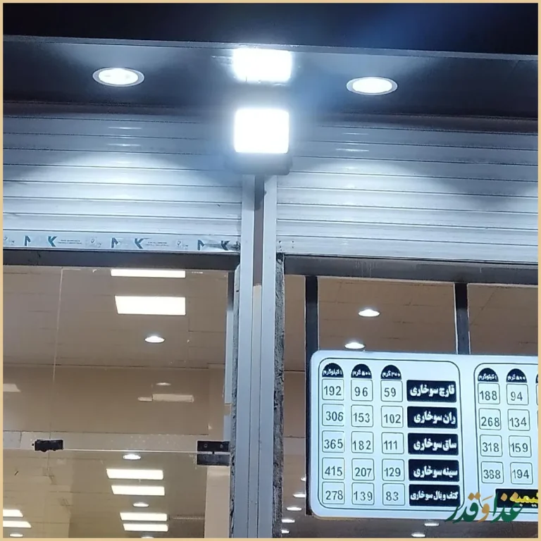 فست فود بهار(کیلویی)