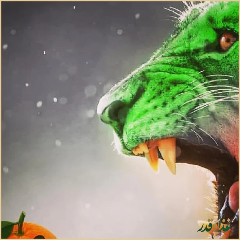 کافه رستوران چکاوک