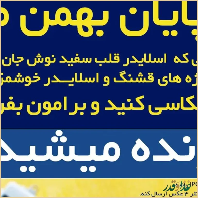 فست فود قلب سفید