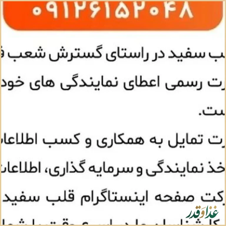 فست فود قلب سفید