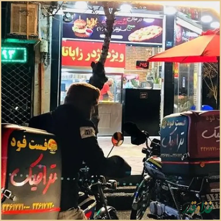 فست فود ترافیک
