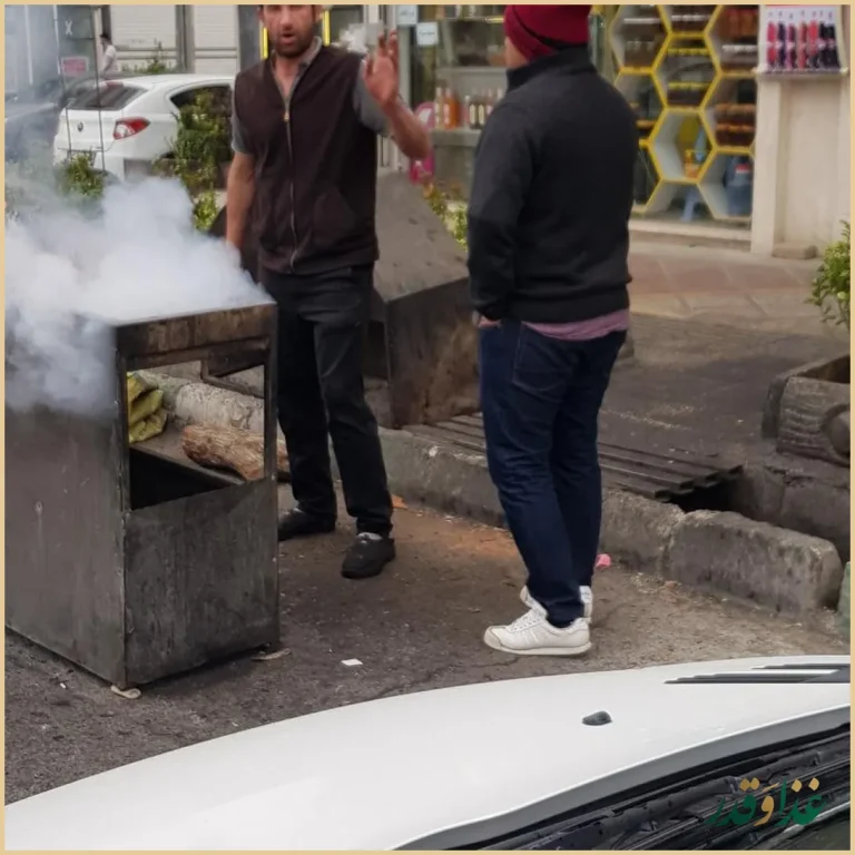 کباب زغالی سید