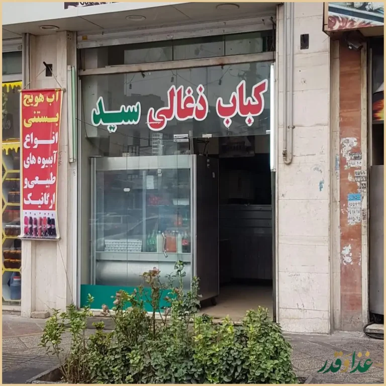 کباب زغالی سید