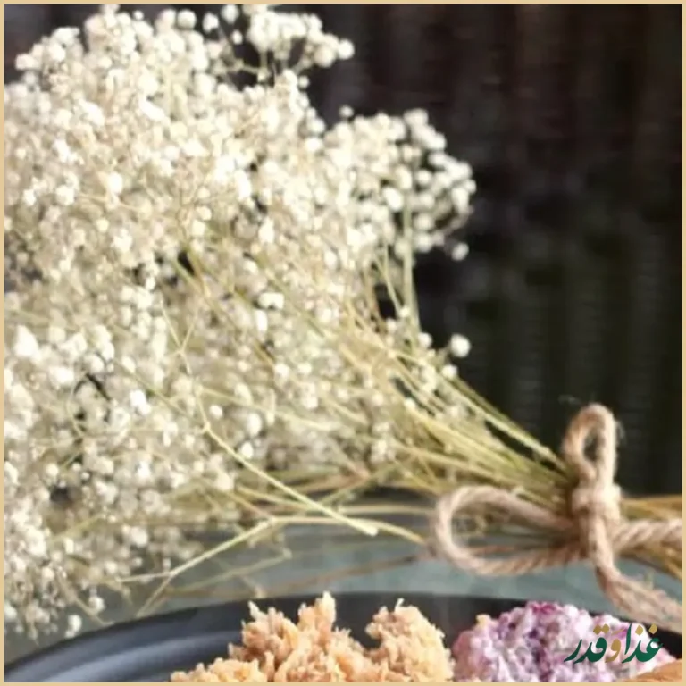 پیتزا ناخدا