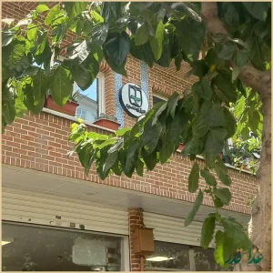 کباب حاج علی