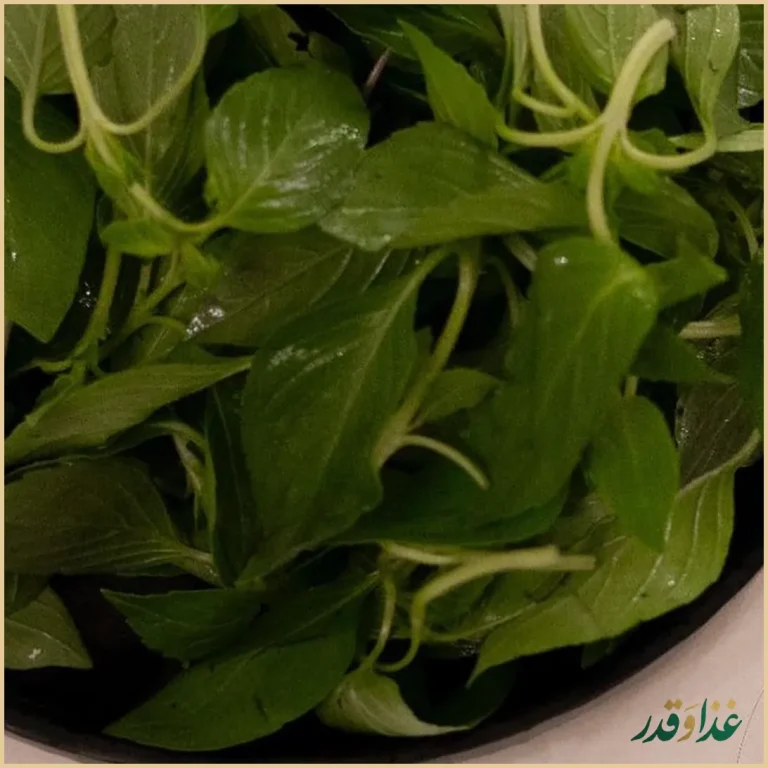 رستوران ریحون