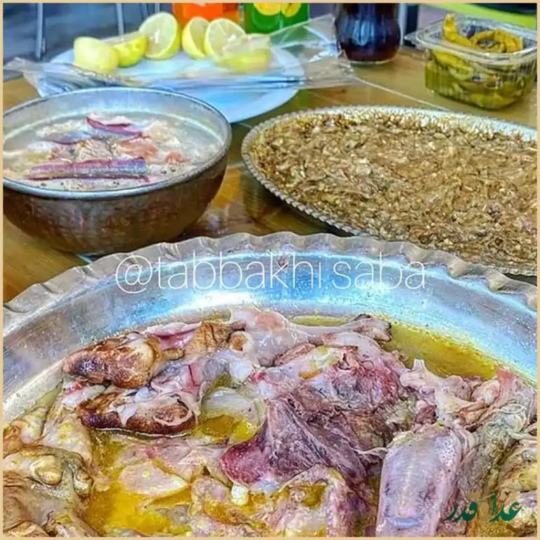 طباخی صبا