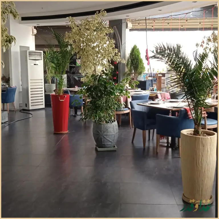 رستوران لئون