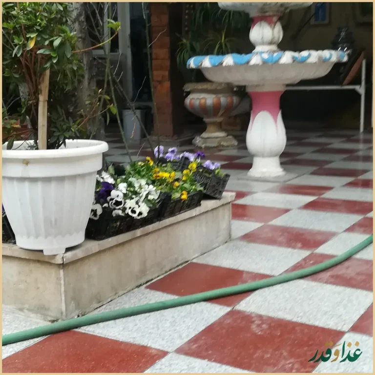 رستوران شب‌های تهران