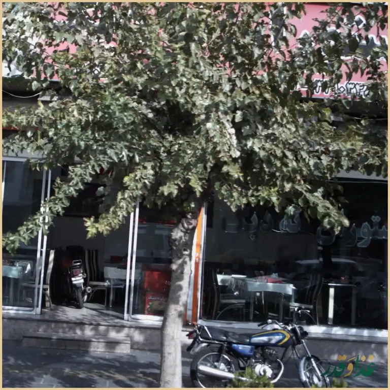 رستوران ته دیگ