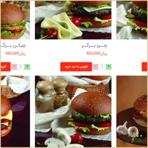 ساندویچ هایدا هروی